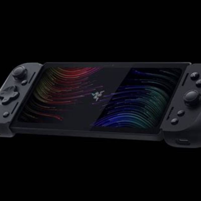 Razer Go